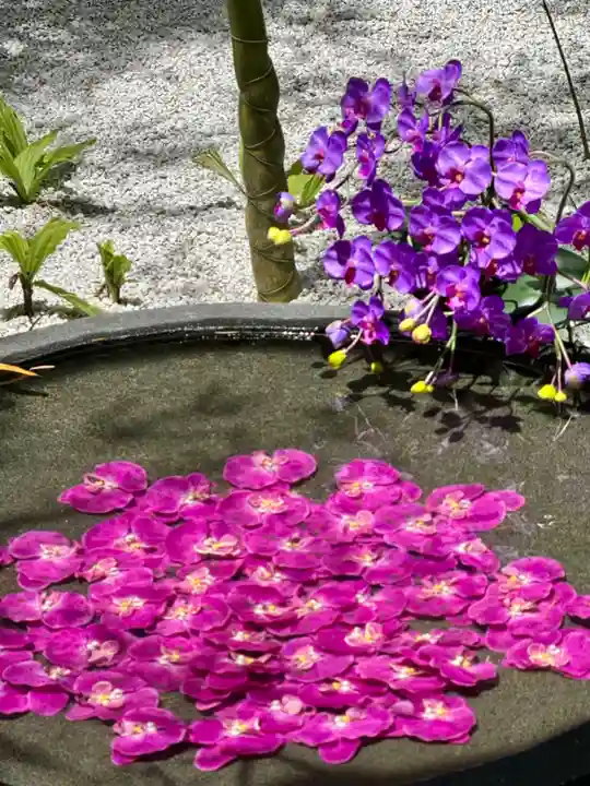 西来院(京都府)