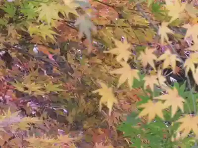 東勝寺跡の自然