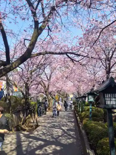 密藏院(埼玉県)
