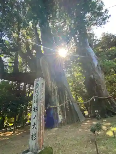 八坂神社(高知県)