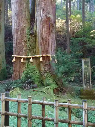 御岩神社の自然