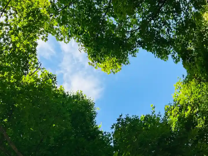 柳谷観音 楊谷寺(京都府)