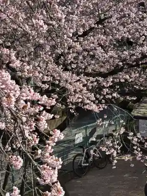 密藏院の{uncategorized: "未分類", other: "その他", undefined: "問題あり", building: "その他建物", grave: "お墓", sacred_gate: "鳥居", guardian: "狛犬", statue: "像", buddha: "仏像", history: "歴史", nature: "自然", garden: "庭園", animal: "動物", pagoda: "塔", temizu: "手水舎", mountain_gate: "山門・神門", sanctuary: "本殿・本堂", subordinate: "末社・摂社", art: "芸術", scenery: "景色", jizo: "地蔵", ema: "絵馬", goshuin: "御朱印", omikuji: "おみくじ", items: "授与品その他", amulet: "お守り", goshuincho: "御朱印帳", eats: "食事", festival: "お祭り", votive_dance: "神楽", shichigosan: "七五三参", wedding: "結婚式", experience: "体験その他", initially: "初詣", around: "周辺", anti_infection: "感染症対策"}