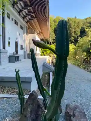 常昌院(神奈川県)