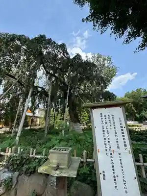 清瀧院(千葉県)