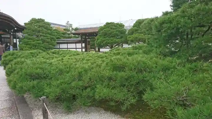 仁和寺(京都府)