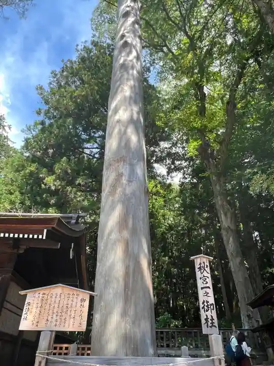 諏訪大社下社秋宮(長野県)
