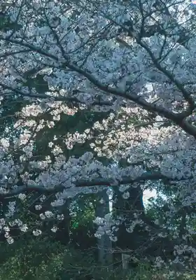 正安寺(神奈川県)