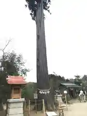 鶴峯八幡宮(千葉県)