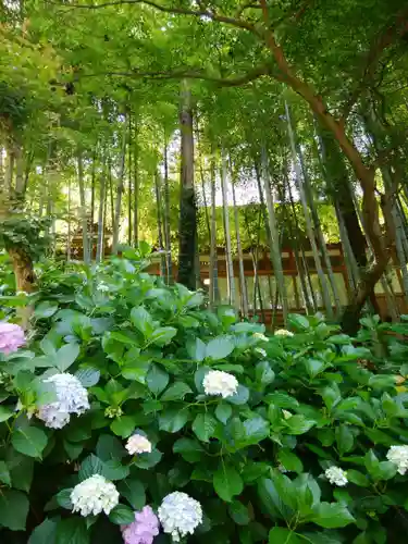 円覚寺(神奈川県)