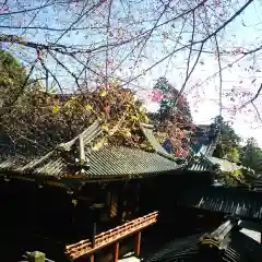 久能山東照宮の建物その他