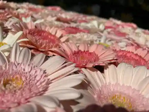 法輪寺(東京都)