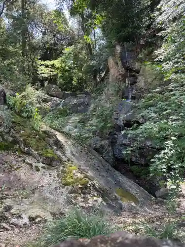 摩訶耶寺の{uncategorized: "未分類", other: "その他", undefined: "問題あり", building: "その他建物", grave: "お墓", sacred_gate: "鳥居", guardian: "狛犬", statue: "像", buddha: "仏像", history: "歴史", nature: "自然", garden: "庭園", animal: "動物", pagoda: "塔", temizu: "手水舎", mountain_gate: "山門・神門", sanctuary: "本殿・本堂", subordinate: "末社・摂社", art: "芸術", scenery: "景色", jizo: "地蔵", ema: "絵馬", goshuin: "御朱印", omikuji: "おみくじ", items: "授与品その他", amulet: "お守り", goshuincho: "御朱印帳", eats: "食事", festival: "お祭り", votive_dance: "神楽", shichigosan: "七五三参", wedding: "結婚式", experience: "体験その他", initially: "初詣", around: "周辺", anti_infection: "感染症対策"}