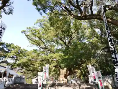 大麻比古神社のその他建物
