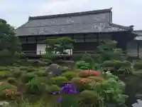 等持院の庭園