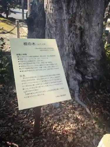 曼陀羅寺のその他建物