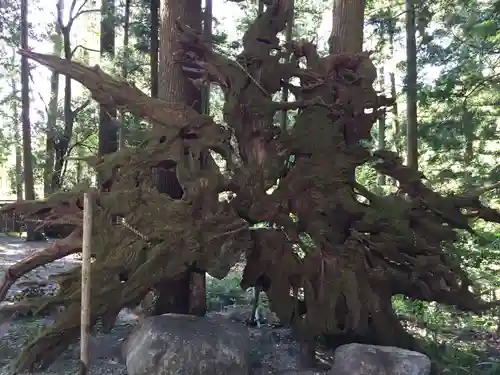 水屋神社(三重県)