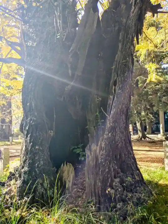 赤坂氷川神社(東京都)