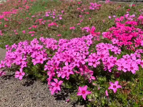 普門寺(切り絵御朱印発祥の寺)(愛知県)