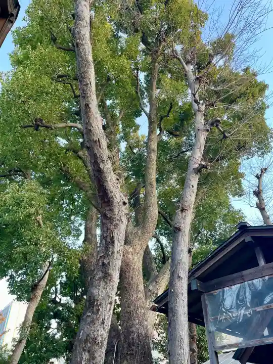 女塚神社の{uncategorized: "未分類", other: "その他", undefined: "問題あり", building: "その他建物", grave: "お墓", sacred_gate: "鳥居", guardian: "狛犬", statue: "像", buddha: "仏像", history: "歴史", nature: "自然", garden: "庭園", animal: "動物", pagoda: "塔", temizu: "手水舎", mountain_gate: "山門・神門", sanctuary: "本殿・本堂", subordinate: "末社・摂社", art: "芸術", scenery: "景色", jizo: "地蔵", ema: "絵馬", goshuin: "御朱印", omikuji: "おみくじ", items: "授与品その他", amulet: "お守り", goshuincho: "御朱印帳", eats: "食事", festival: "お祭り", votive_dance: "神楽", shichigosan: "七五三参", wedding: "結婚式", experience: "体験その他", initially: "初詣", around: "周辺", anti_infection: "感染症対策"}