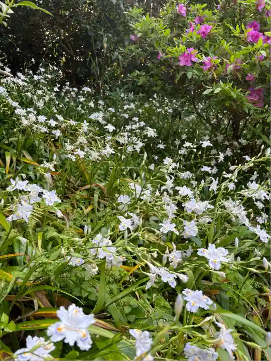 長壽寺(長寿寺)(神奈川県)