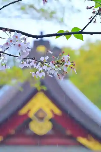 鶴岡八幡宮の自然