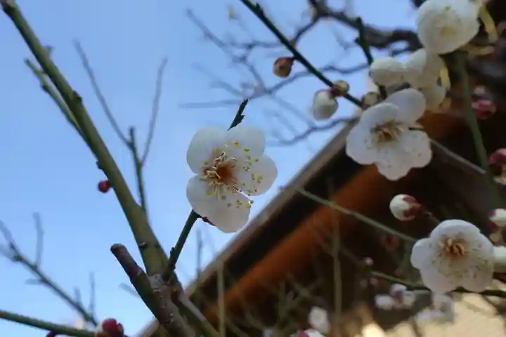 菅原天満宮(菅原神社)のその他建物