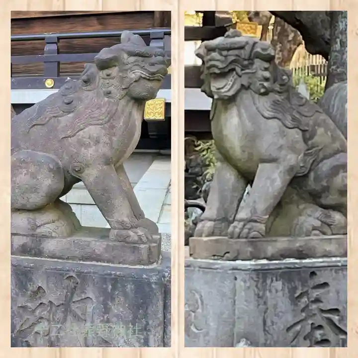 熊野神社の狛犬