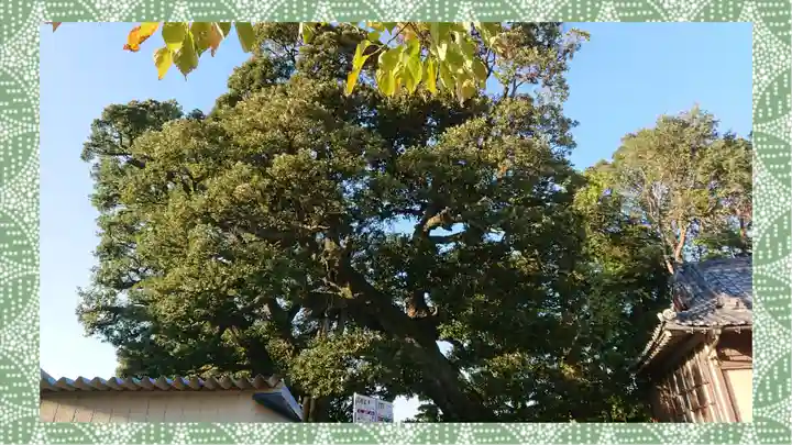 九重神社(埼玉県)