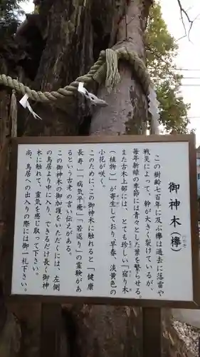 新田神社の自然