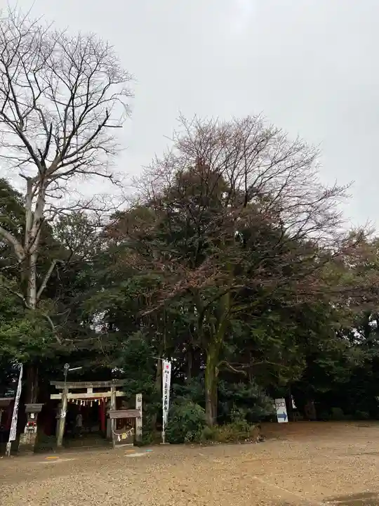 手力雄神社(岐阜県)