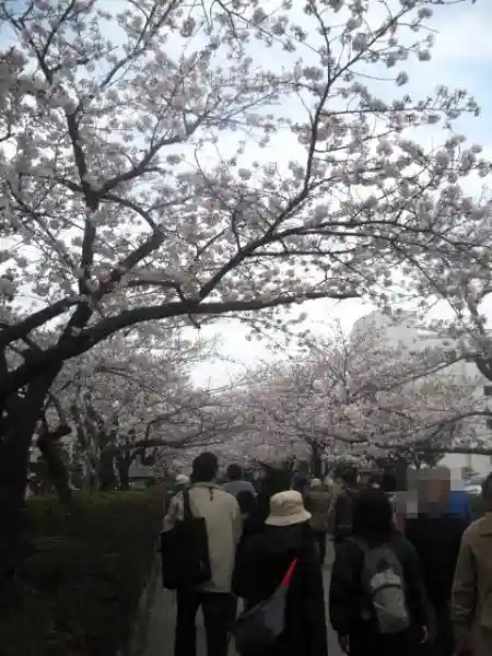 鶴岡八幡宮の自然