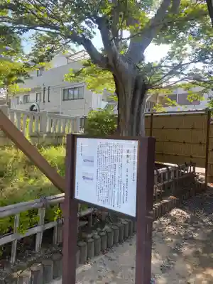 村松虚空蔵尊（村松山虚空蔵堂）(茨城県)