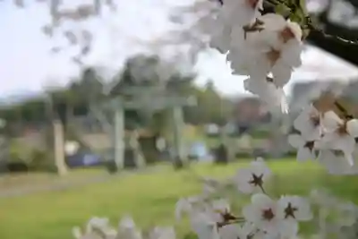 琵琶神社の自然