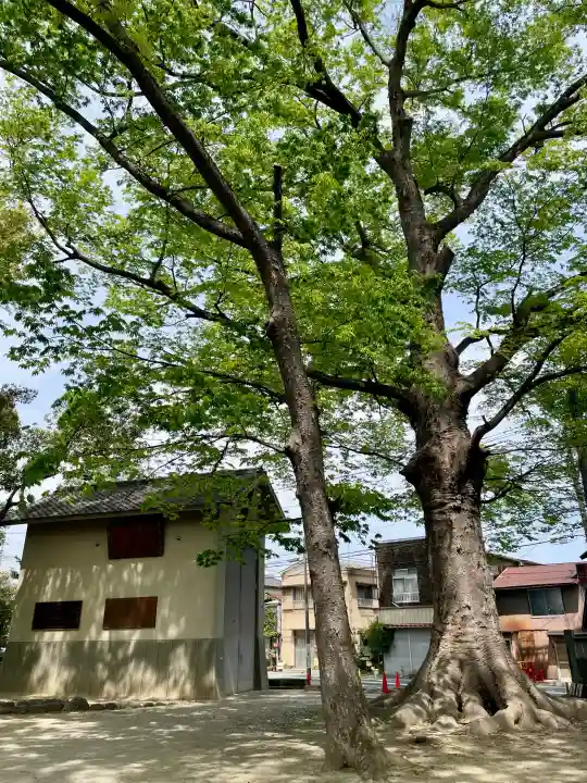 高城神社の{uncategorized: "未分類", other: "その他", undefined: "問題あり", building: "その他建物", grave: "お墓", sacred_gate: "鳥居", guardian: "狛犬", statue: "像", buddha: "仏像", history: "歴史", nature: "自然", garden: "庭園", animal: "動物", pagoda: "塔", temizu: "手水舎", mountain_gate: "山門・神門", sanctuary: "本殿・本堂", subordinate: "末社・摂社", art: "芸術", scenery: "景色", jizo: "地蔵", ema: "絵馬", goshuin: "御朱印", omikuji: "おみくじ", items: "授与品その他", amulet: "お守り", goshuincho: "御朱印帳", eats: "食事", festival: "お祭り", votive_dance: "神楽", shichigosan: "七五三参", wedding: "結婚式", experience: "体験その他", initially: "初詣", around: "周辺", anti_infection: "感染症対策"}