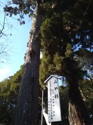 息栖神社(茨城県)