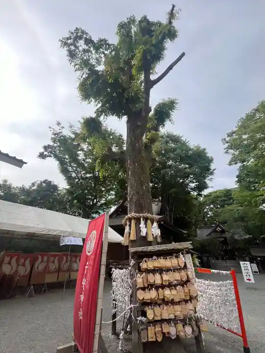 子安神社(東京都)