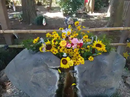 馬場氷川神社の手水