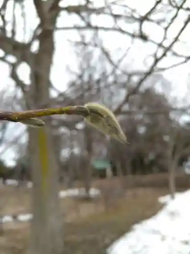 厚別神社(北海道)