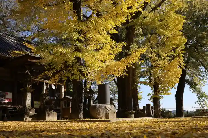 綾部八幡神社(佐賀県)
