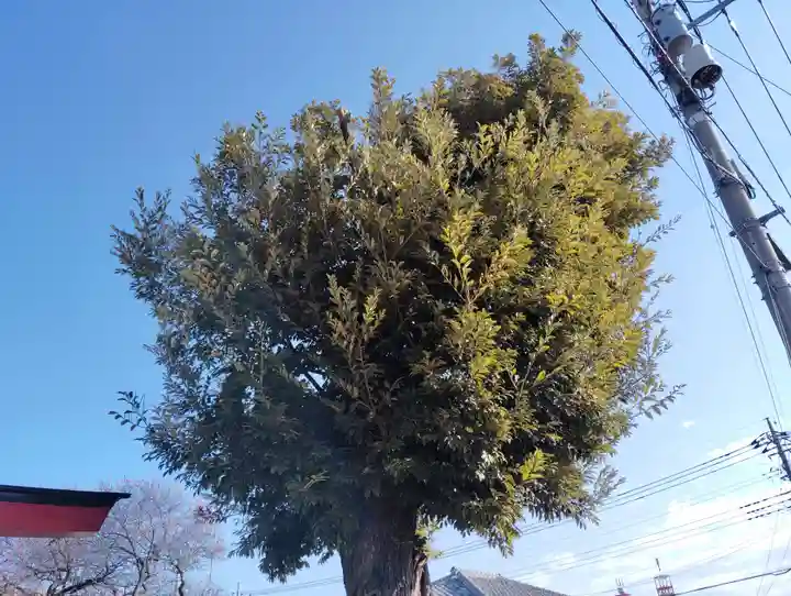 三俣神社(群馬県)