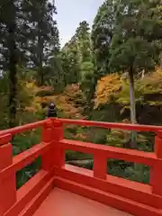 岡寺（龍蓋寺）(奈良県)