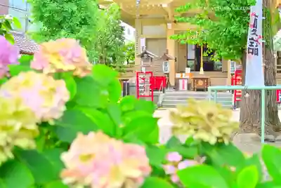 矢先稲荷神社(東京都)