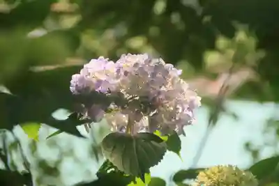 八幡神社の庭園