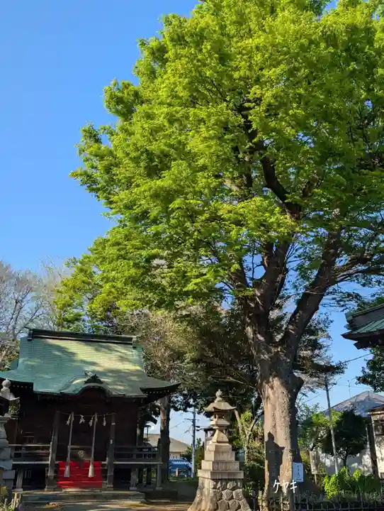 白幡八幡神社(神奈川県)