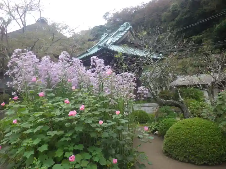 海蔵寺のその他建物