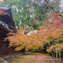 向日神社(京都府)