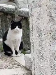 鴨居八幡神社の動物