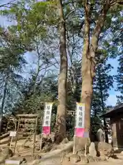 開運招福 飯玉神社の自然