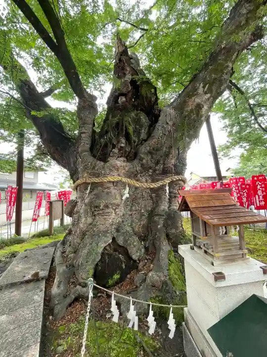 秩父今宮神社(埼玉県)